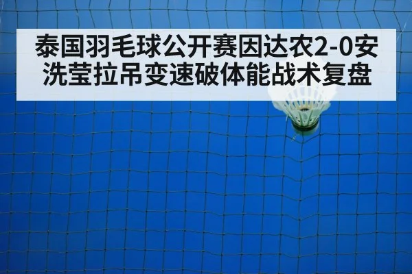 badminton net play