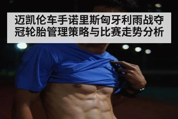 迈凯伦车手诺里斯匈牙利雨战夺冠轮胎管理策略与比赛走势分析